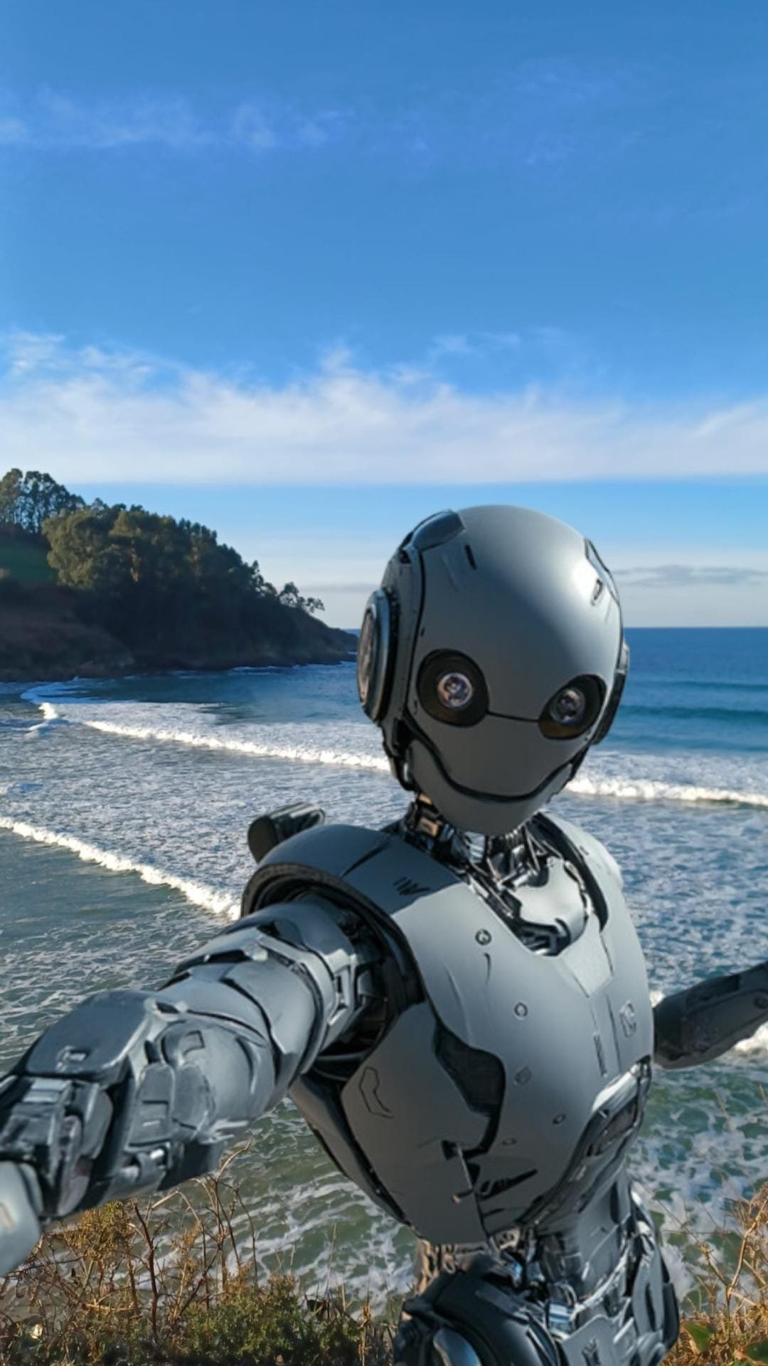 IA en Cantabria IA en Cantabria
